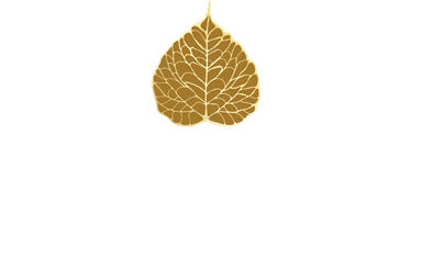 Ngoa Van